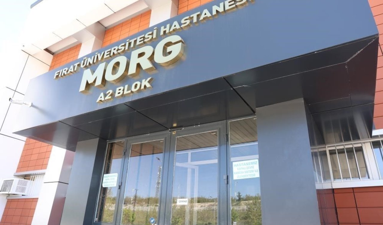 Yeğeni tarafından darbedilen yaşlı adam hayatını kaybetti