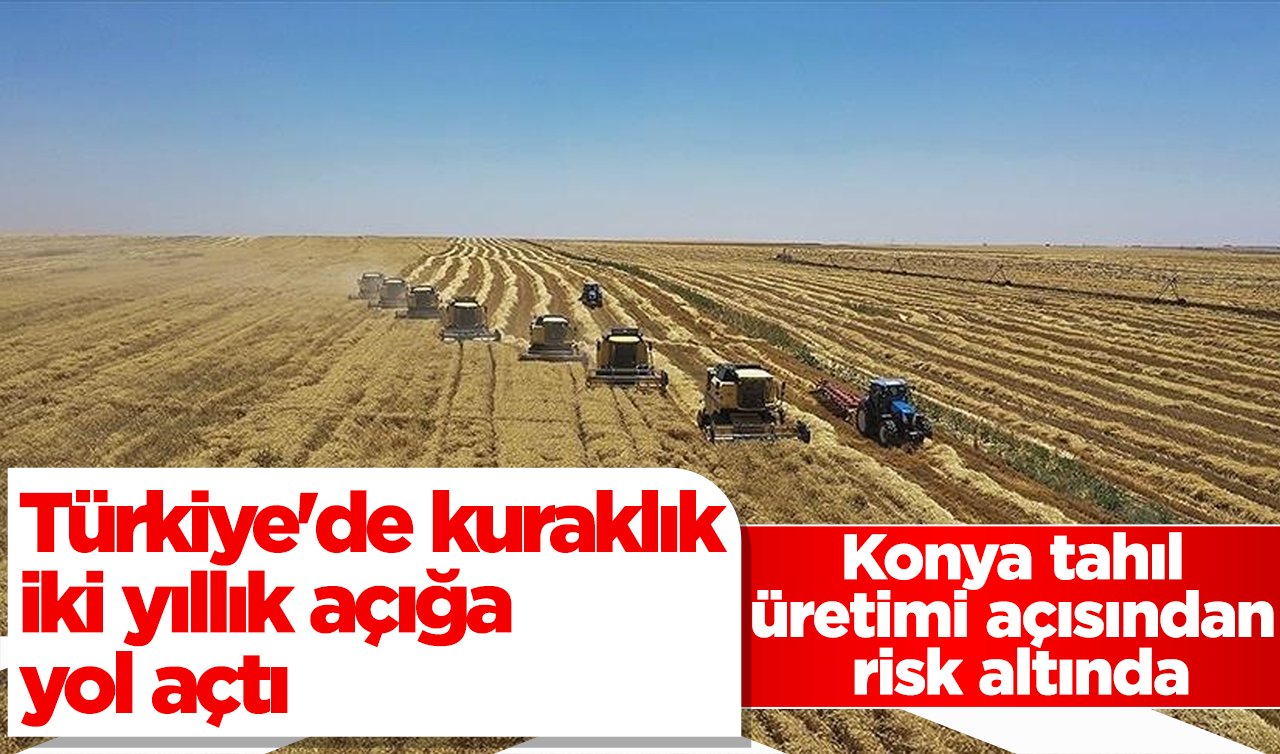 Türkiye’de kuraklık iki yıllık açığa yol açtı: Konya tahıl üretimi açısından risk altında