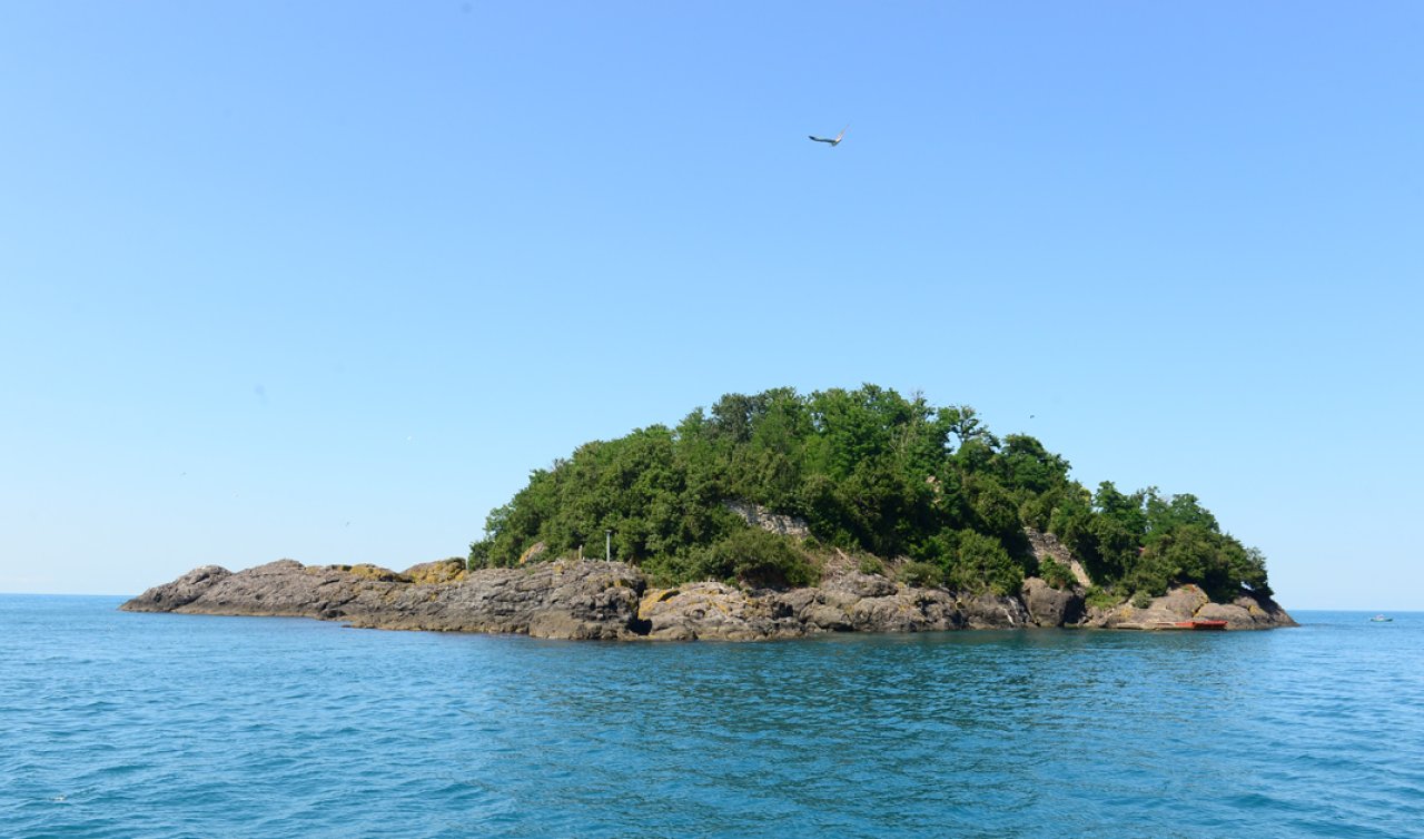 Adını üzerine 19.’da inşa edilmiş karantina tesislerinden almış Karantina Adası nerededir? Milyoner Sorusu