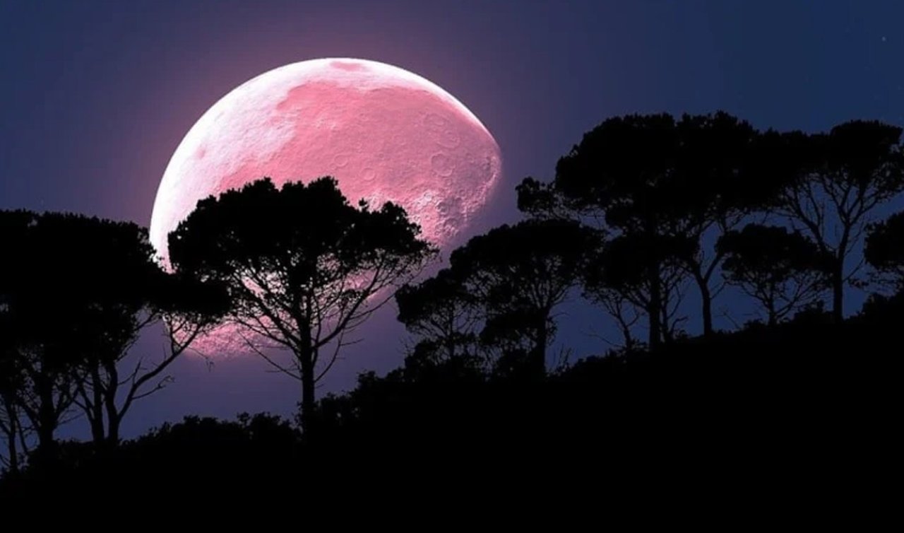 Pembe ay ne zaman, saat kaçta görünecek? Pembe ay Türkiye’de nereden izlenecek? Pembe Dolunay tarihi 2026