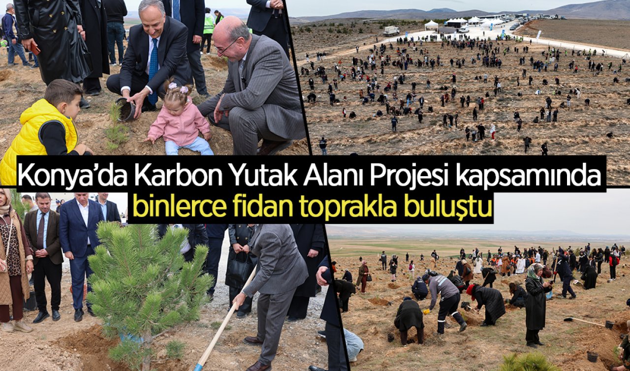 Konya’da Karbon Yutak Alanı Projesi kapsamında binlerce fidan toprakla buluştu