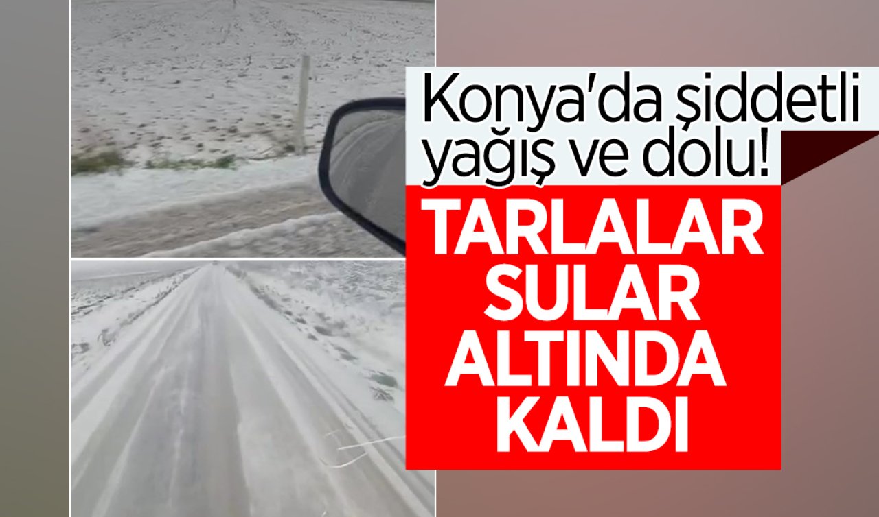 Konya’da şiddetli yağış ve dolu! Tarlalar sular altında kaldı