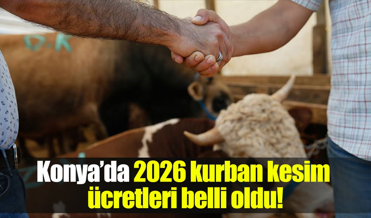 Konya’da 2026 kurban kesim ücretleri belli oldu!