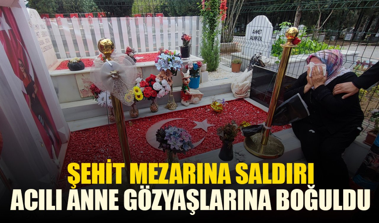 Şehit mezarına saldırı: Acılı anne gözyaşlarına boğuldu