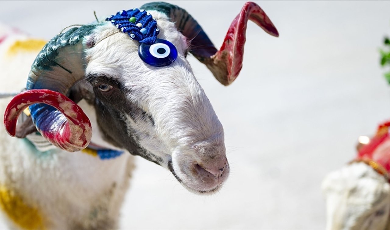 2026 Kurban Bayramı ne zaman? Kurban Bayramı’na kaç gün kaldı? Kurban Bayramı tatili uzatılacak mı?