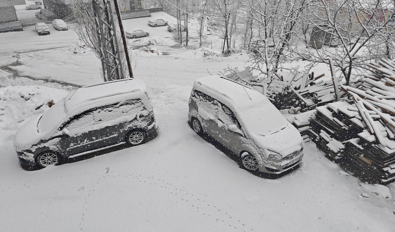 Nisanda kara kış: 84 köy yolu ulaşıma kapandı