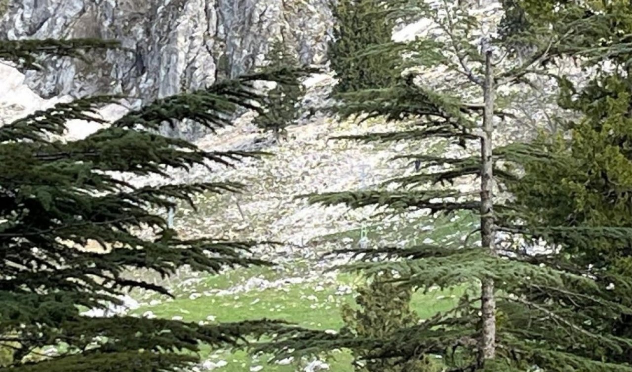 Kayalıklardan düşen adam hayatını kaybetti