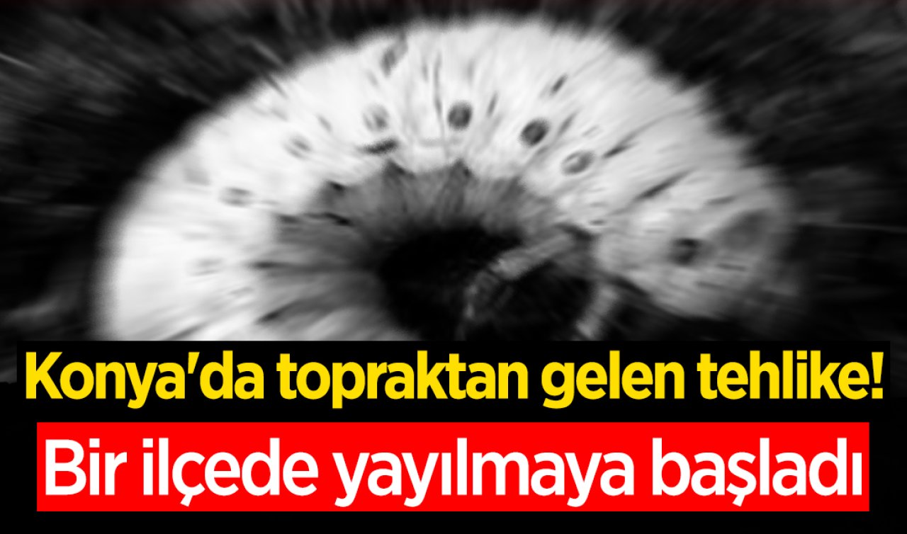 Konya’da topraktan gelen tehlike! Bir ilçede yayılmaya başladı 