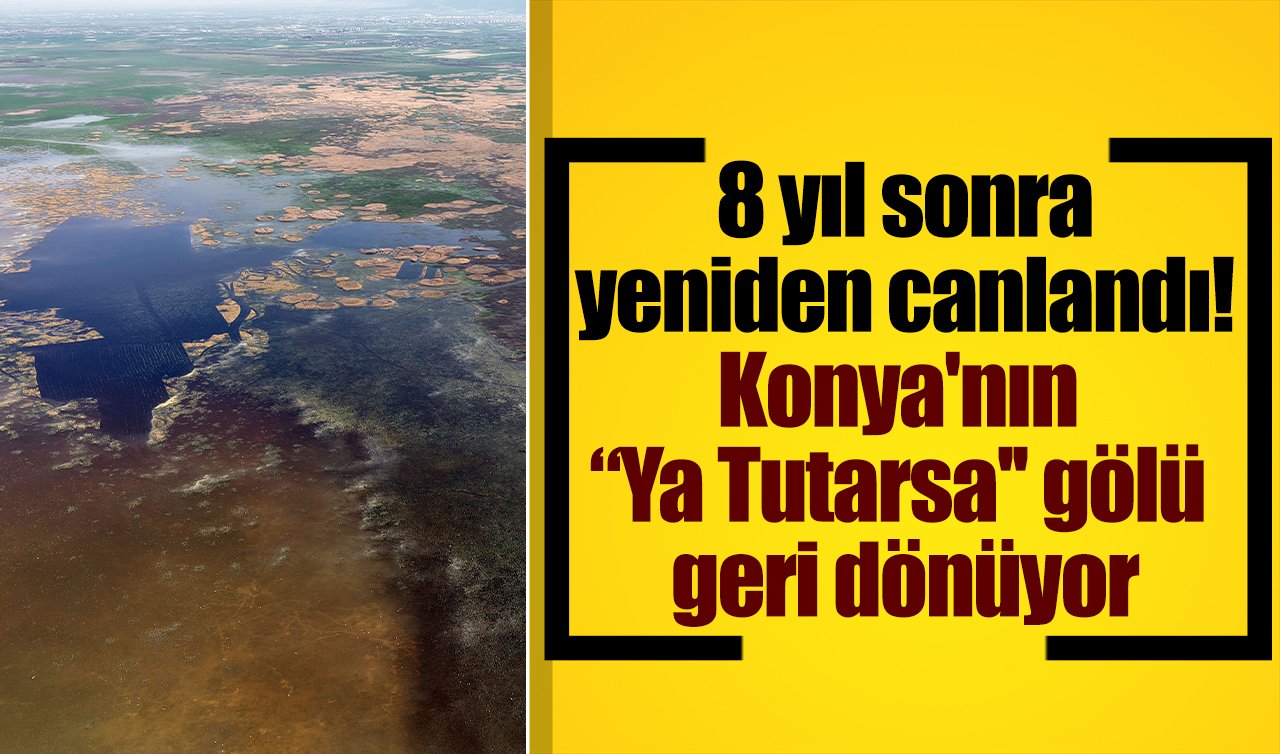 8 yıl sonra yeniden canlandı! Konya’nın “Ya Tutarsa’’ gölü su tutmaya başladı