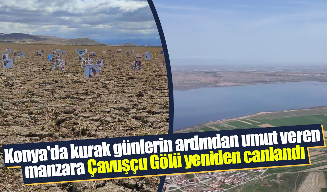 Konya’da kurak günlerin ardından umut veren manzara: Çavuşçu Gölü yeniden canlandı