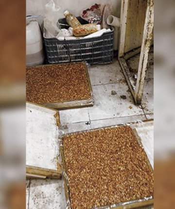 Kötü koku gerçeği ortaya çıkardı: Evden kaçak imalathane çıktı