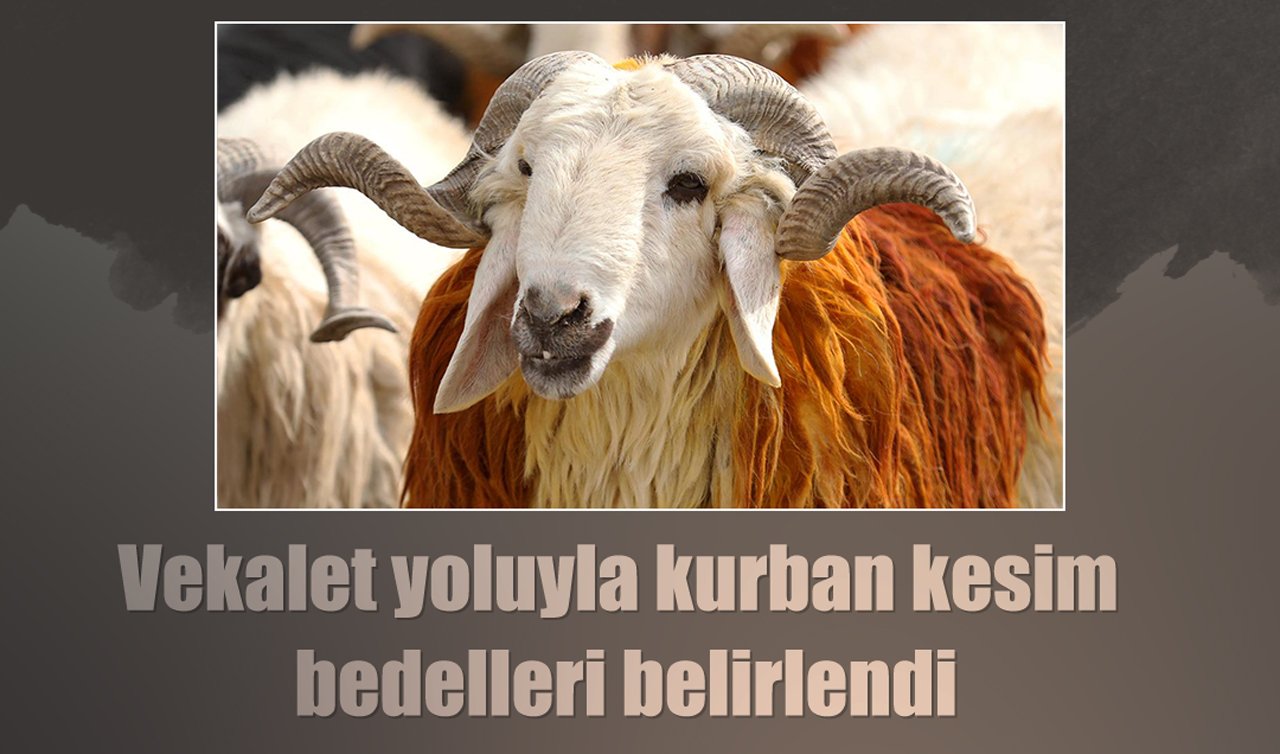 Vekalet yoluyla kurban kesim bedelleri belirlendi