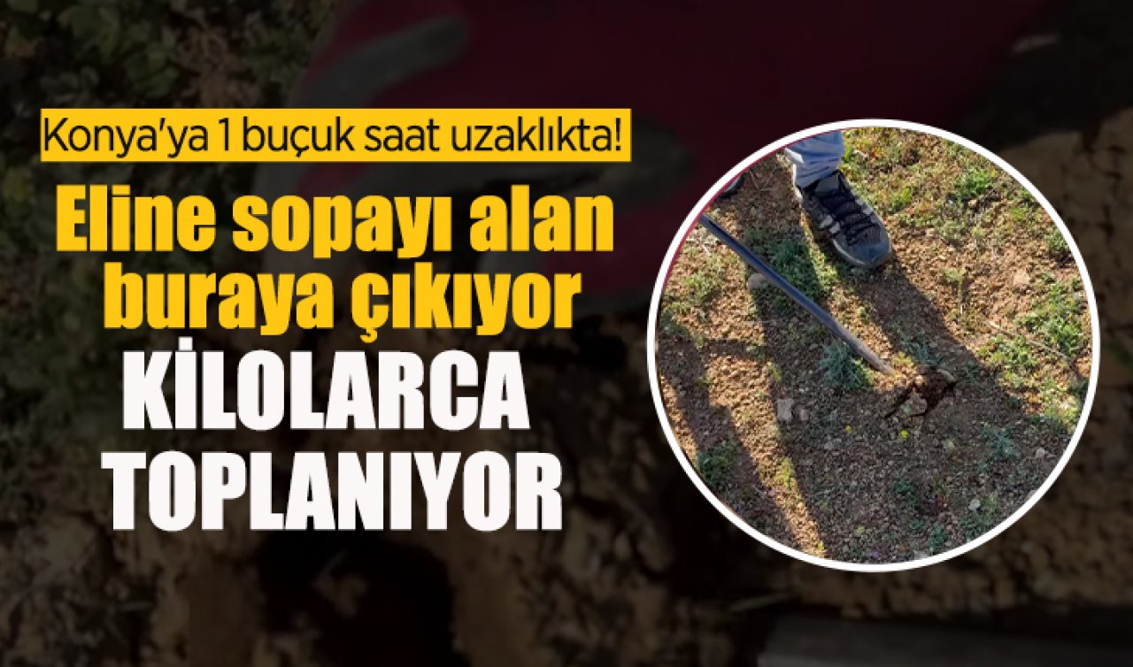 Konya’ya 1 buçuk saat uzaklıkta! Eline sopayı alan buraya çıkıyor 