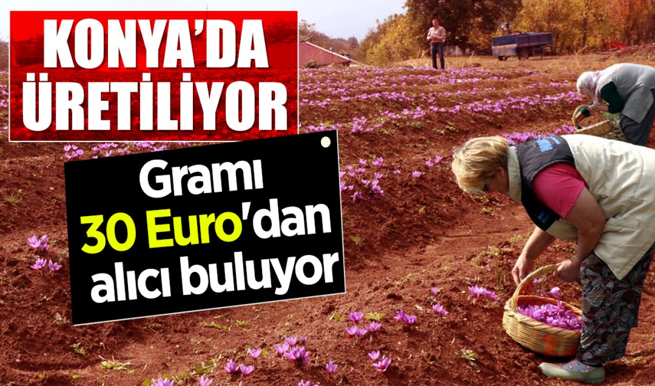 Konya’da üretiliyor! Gramı 30 Euro’dan alıcı buluyor