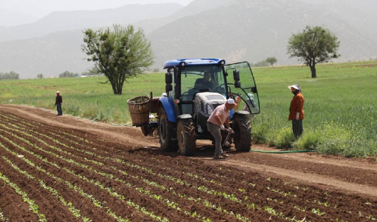 Çiftçilere tarımsal destekleme ödemesi bugün yapılacak