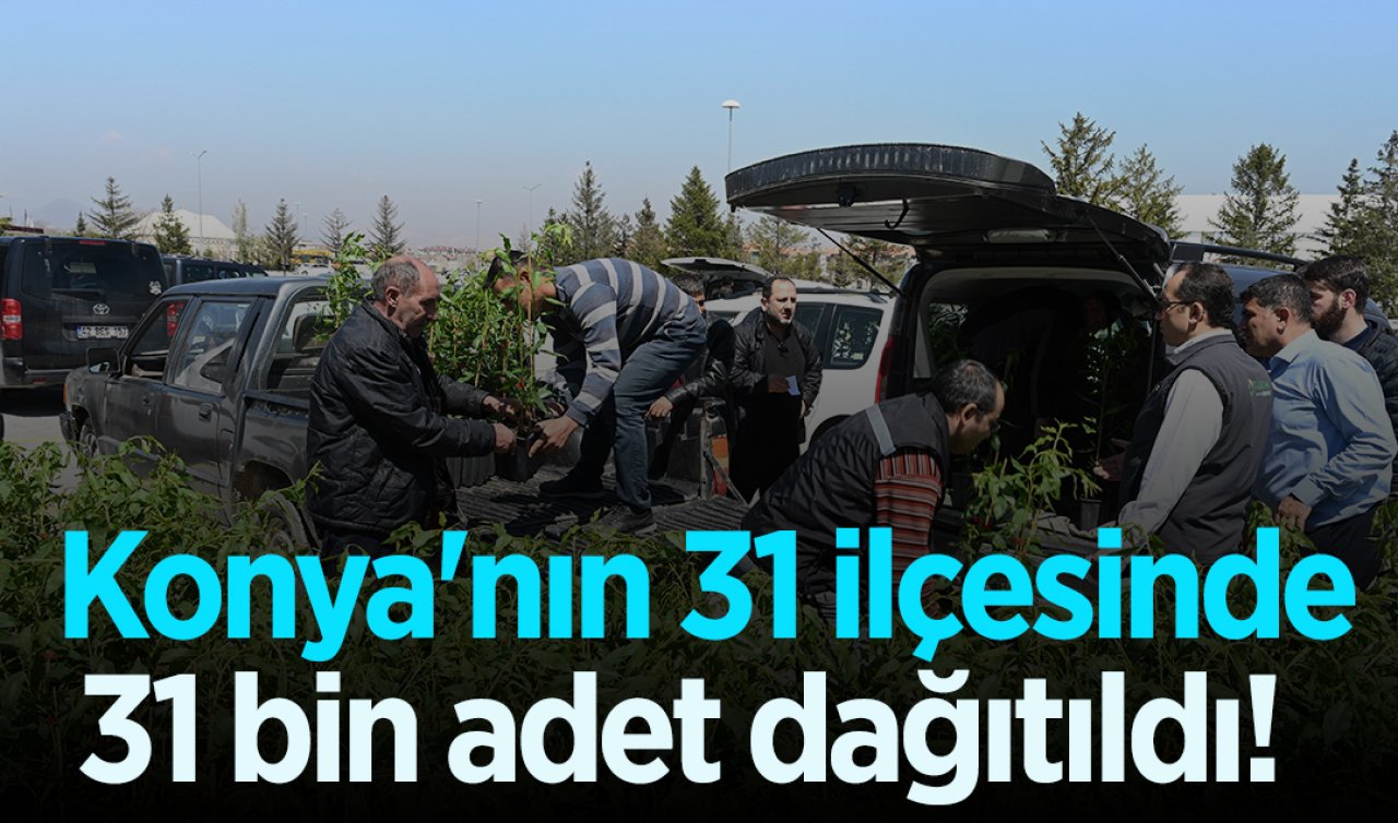 Konya’nın 31 ilçesinde 31 bin adet dağıtıldı! Yüzde 50 hibeli 