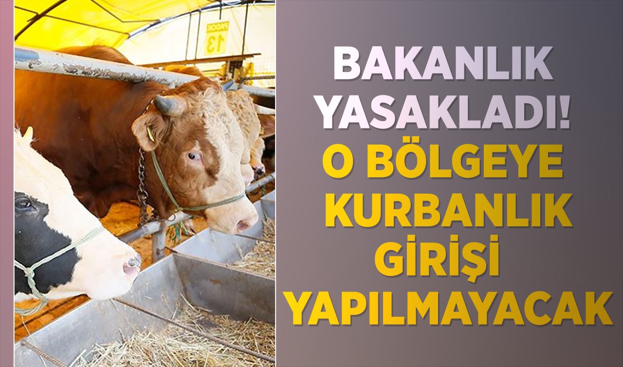 Bakanlık yasakladı! O bölgeye kurbanlık girişi yapılmayacak