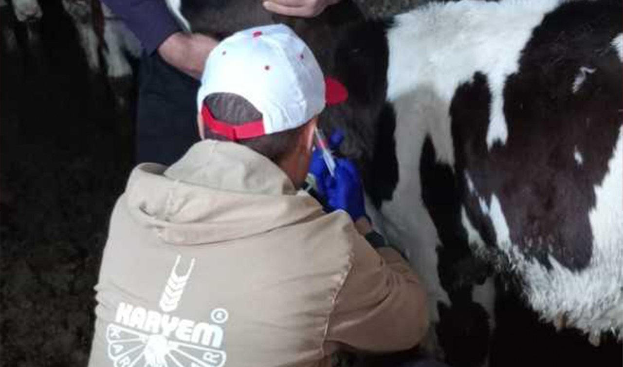 ​Halkapınar’da şap aşısı etkinliği devam ediyor