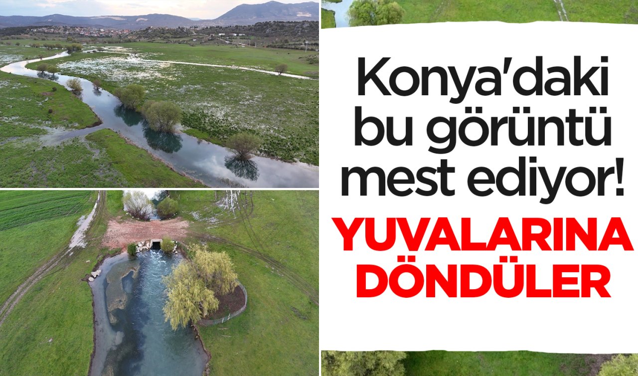 Konya’daki bu görüntü mest ediyor! 