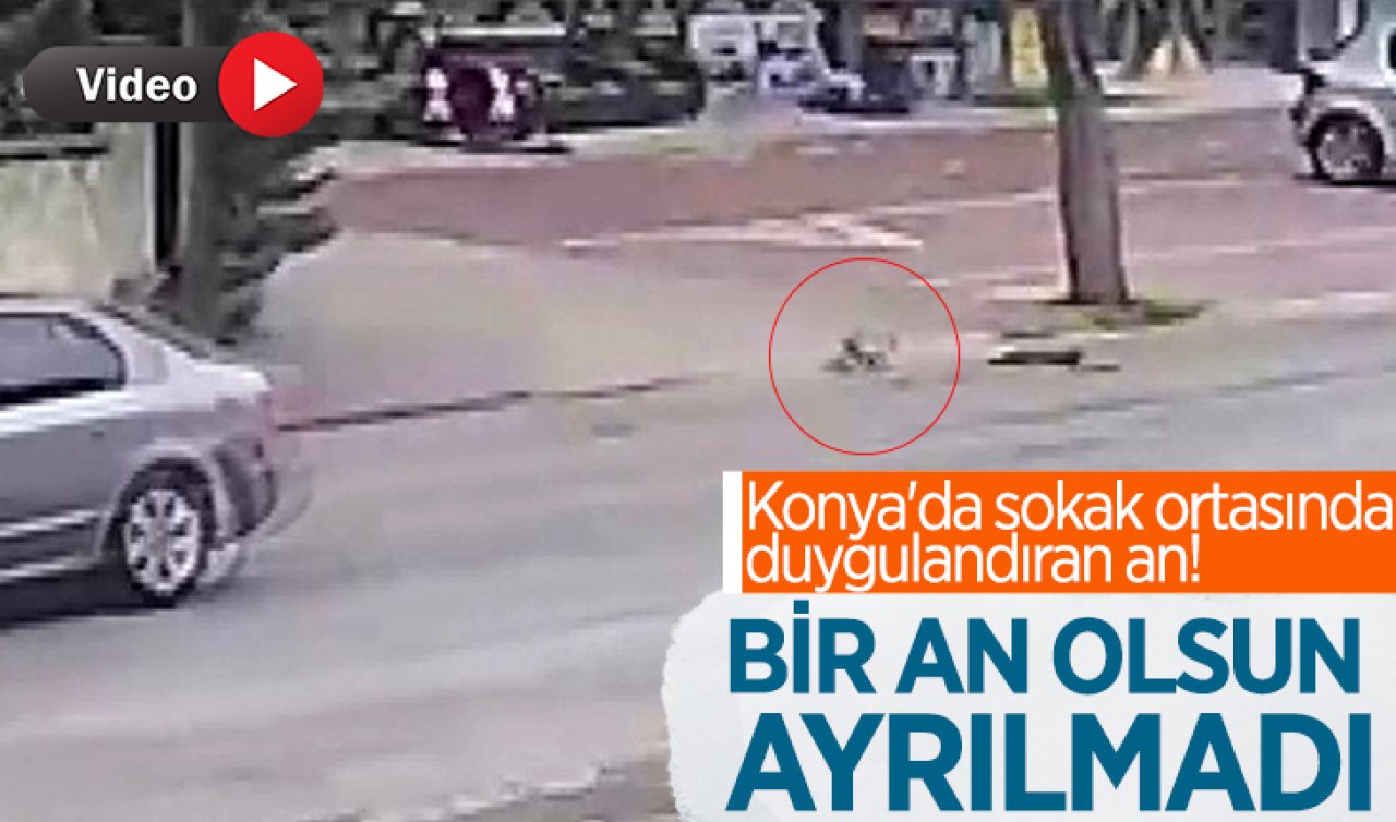 Konya’da sokak ortasında duygulandıran an! Bir an olsun ayrılmadı 