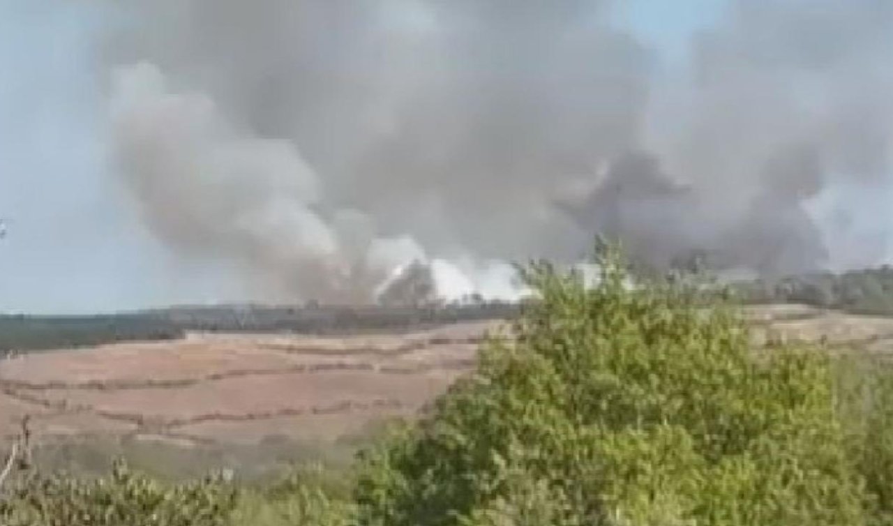 İstanbul’da ormanlık alanda yangın