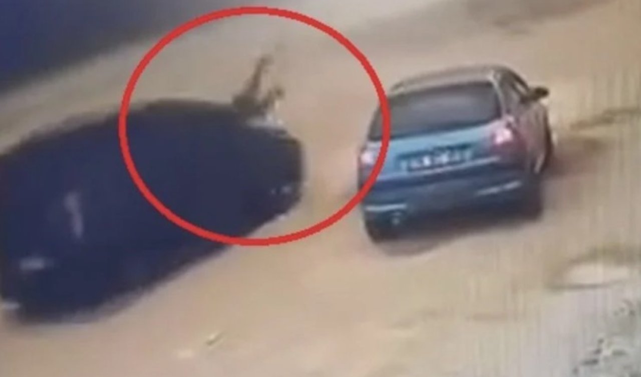 Bir şahıs husumetlisine arabayla çarpıp kaçtı!