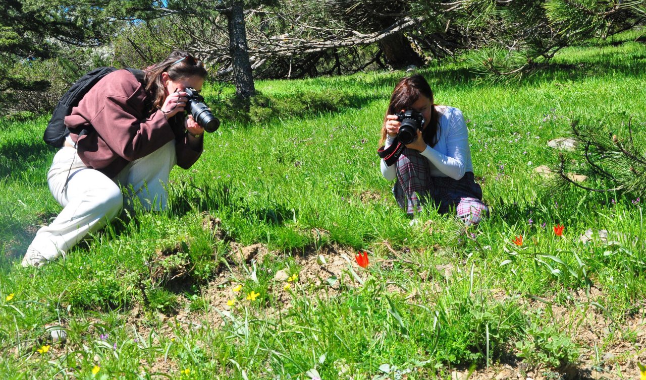 Sadece 10 gün canlı kalabiliyor! Koparmanın cezası 699 bin TL