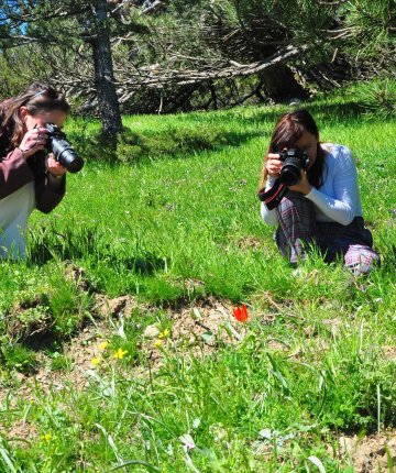 Sadece 10 gün canlı kalabiliyor! Koparmanın cezası 699 bin TL