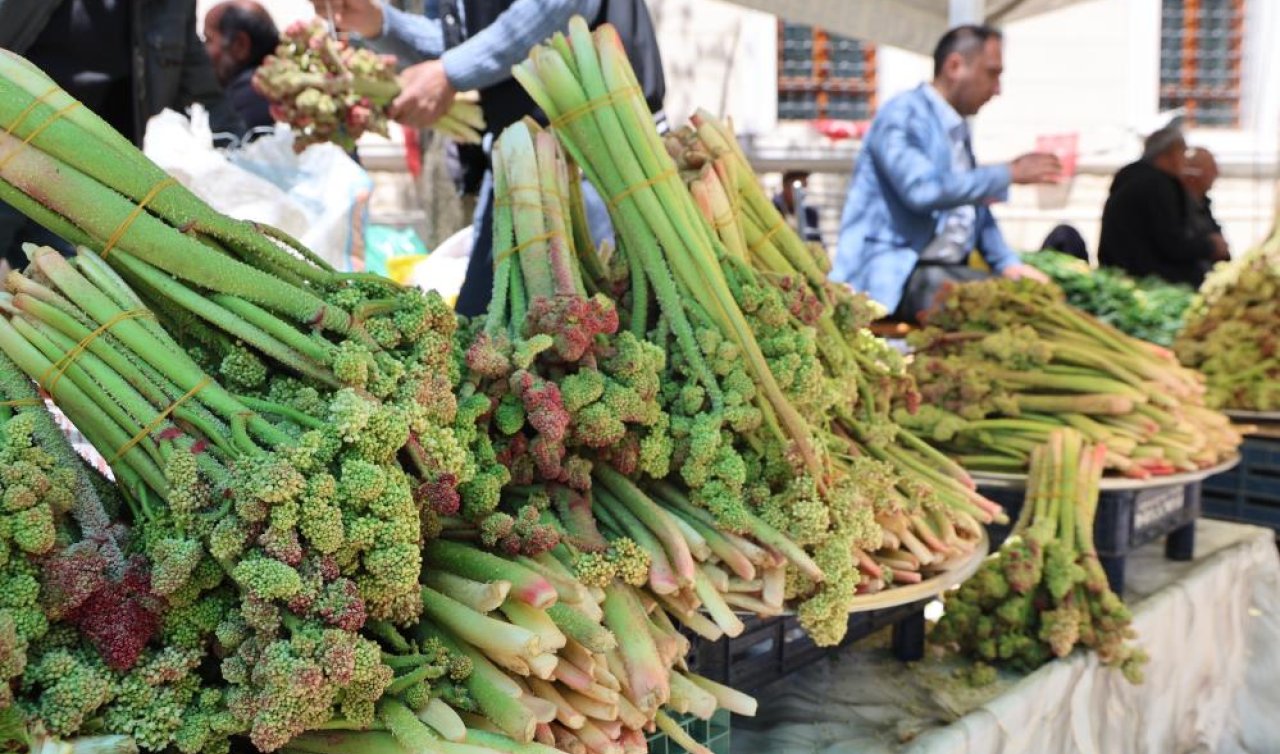 Doğu’nun şifa kaynağı Işkın tezgahlarda yerini aldı