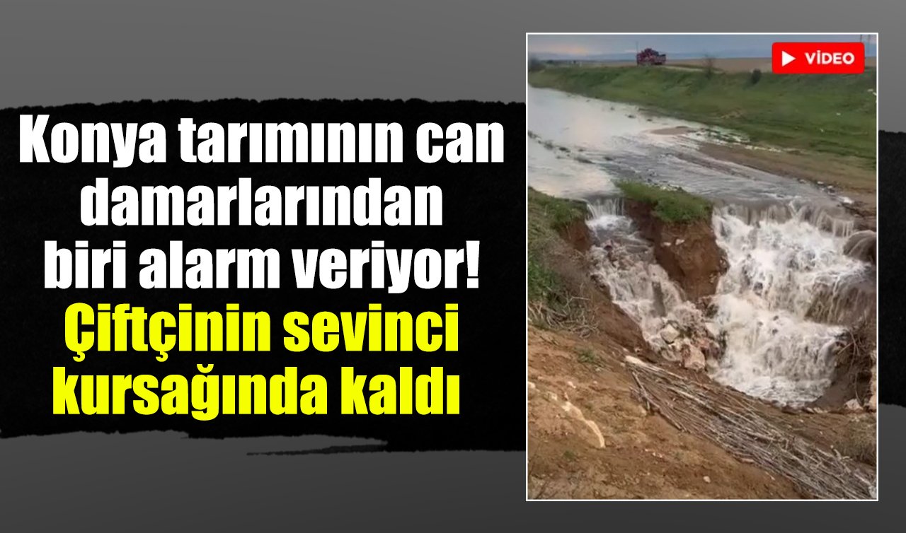 Konya tarımının can damarlarından biri alarm veriyor! Çiftçinin sevinci kursağında kaldı