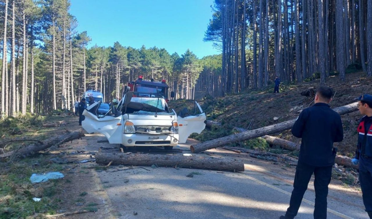 Kesilen ağaç seyir halindeki kamyonetin üzerine devrildi: 1 ölü 2 yaralı