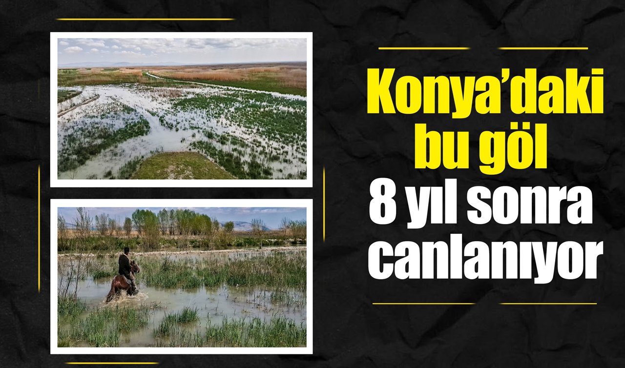 Konya’daki bu göl 8 yıl sonra canlanıyor