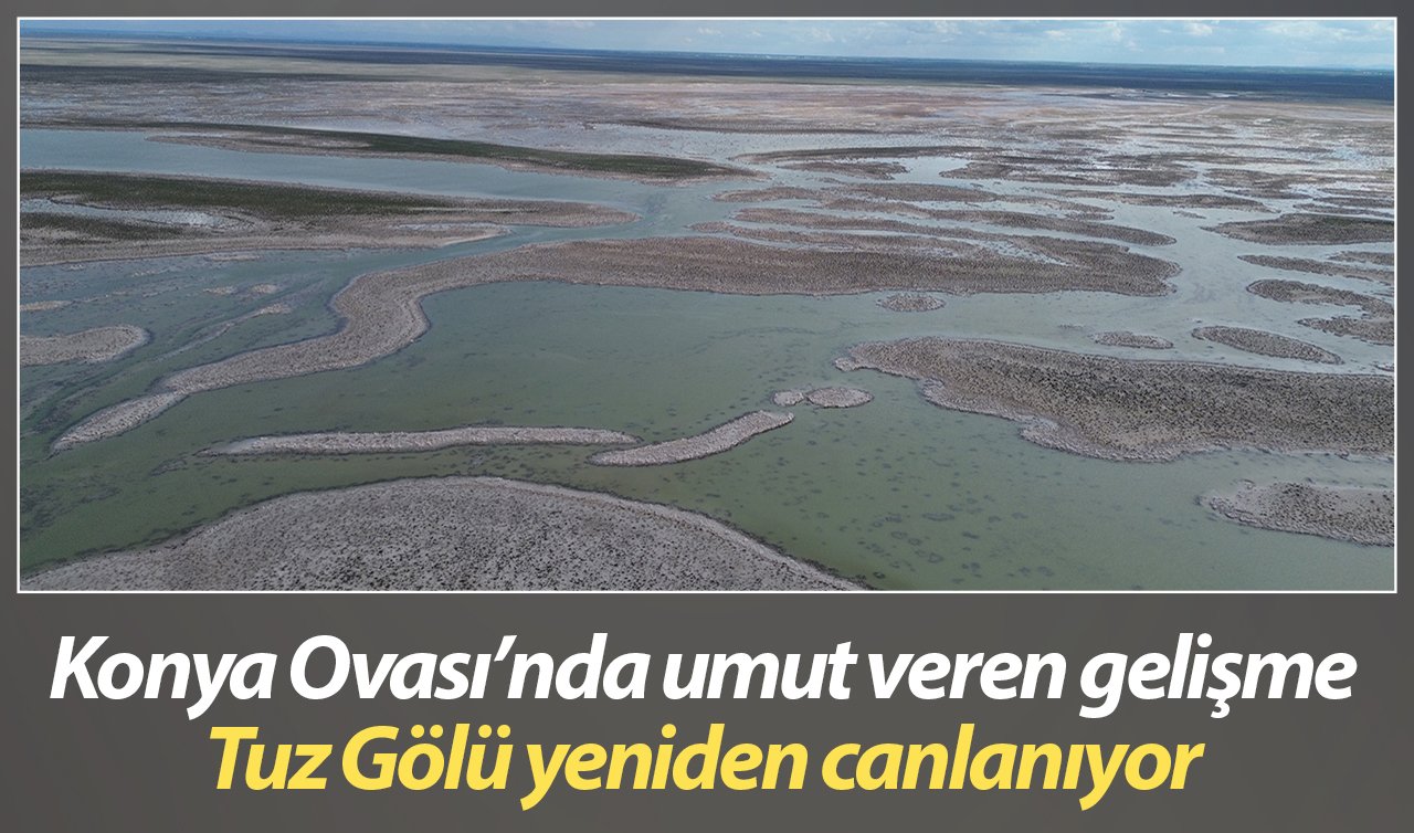 Konya Ovası’nda umut veren gelişme: Tuz Gölü yeniden canlanıyor