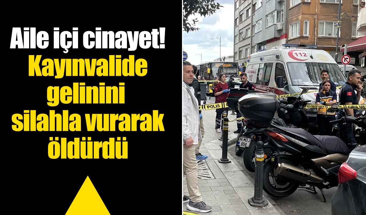 Aile içi cinayet! Kayınvalide gelinini silahla vurarak öldürdü