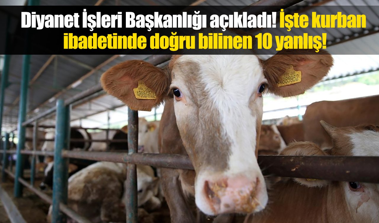 Diyanet İşleri Başkanlığı açıkladı! İşte kurban ibadetinde doğru bilinen 10 yanlış