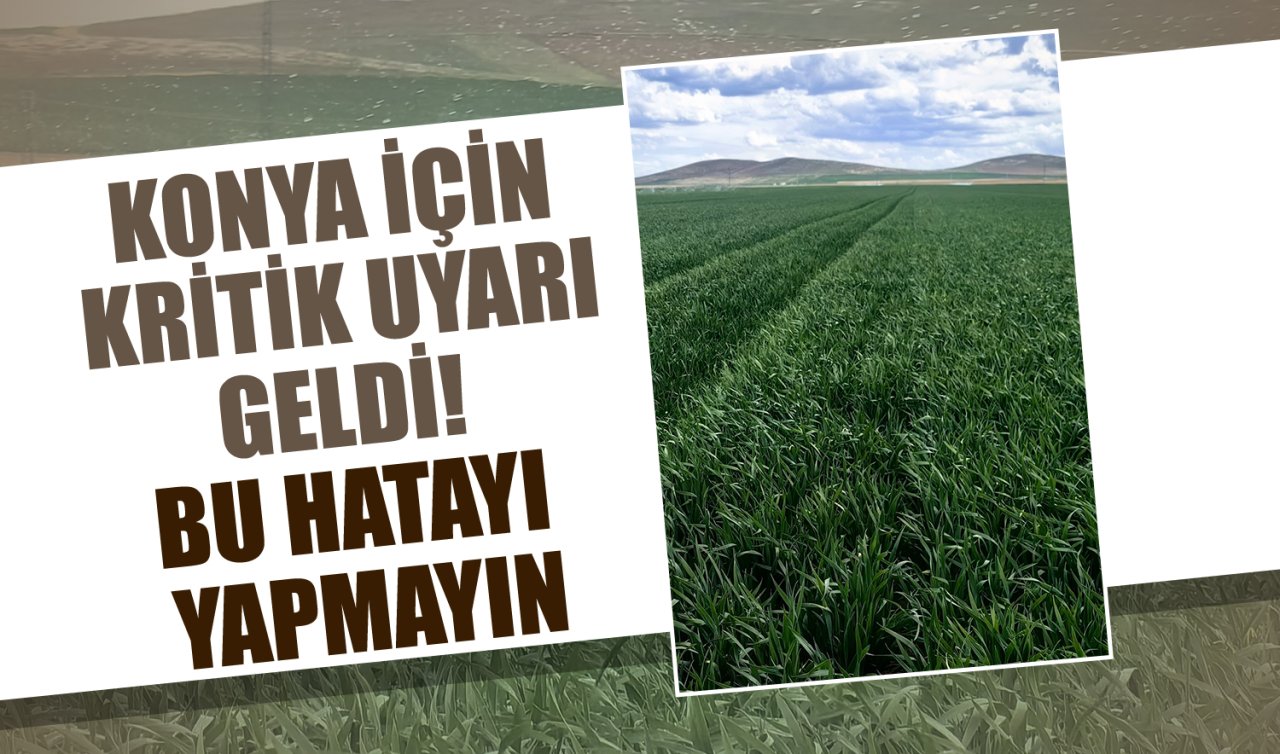 Konya için kritik uyarı geldi! Bu hatayı yapmayın