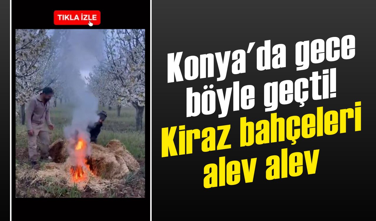 Konya’da gece böyle geçti! Kiraz bahçeleri alev alev 