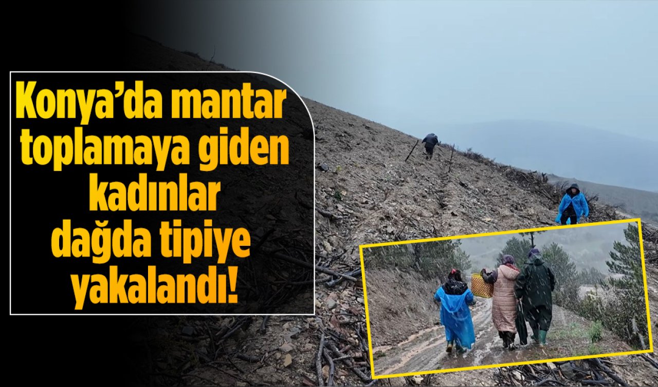 Konya’da mantar toplamaya giden kadınlar dağda tipiye yakalandı!