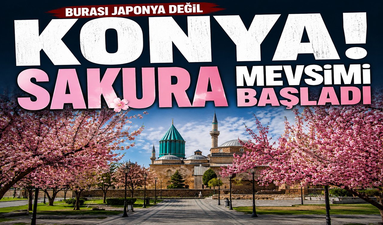 Konya’da sakura mevsimi başladı