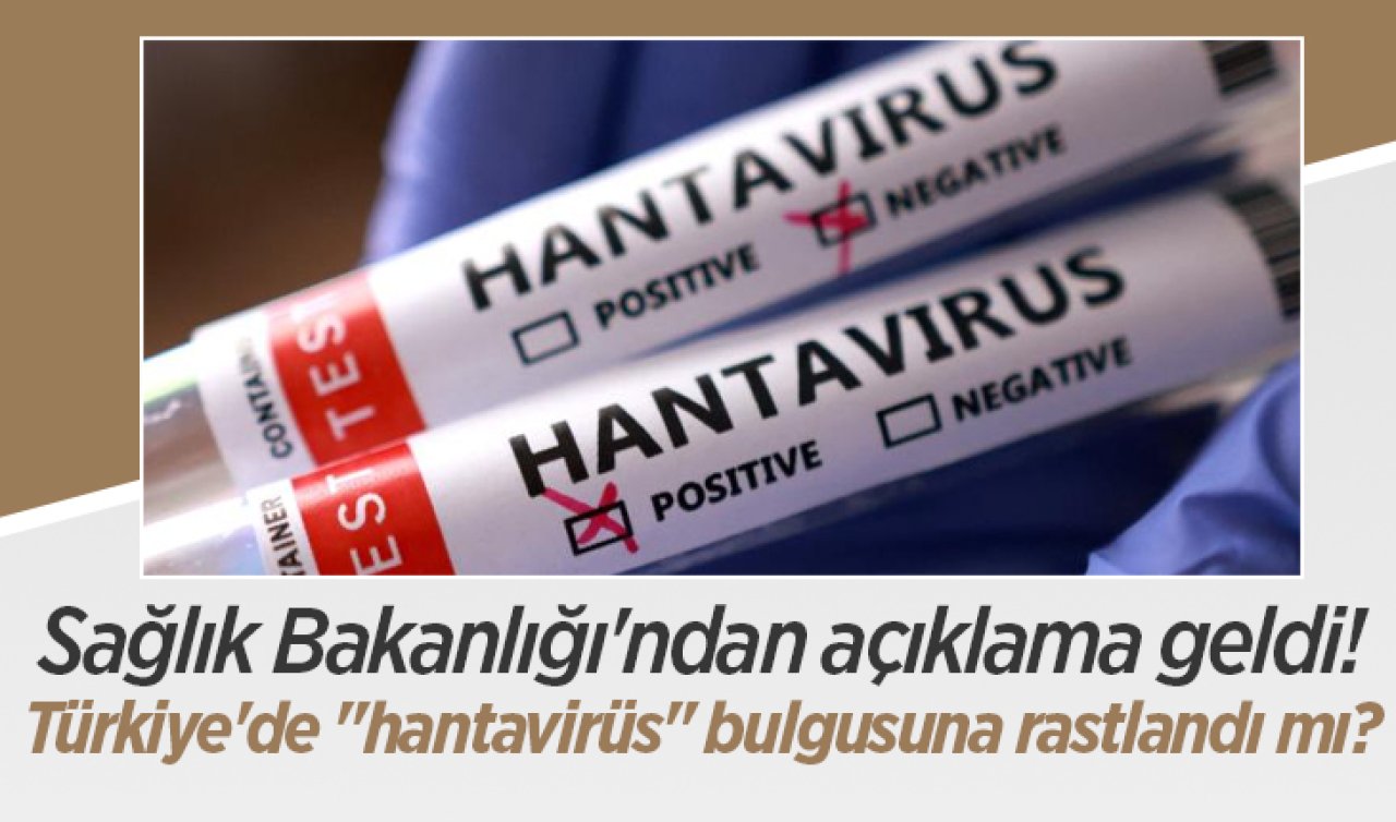 Sağlık Bakanlığı’ndan açıklama geldi! Türkiye’de “hantavirüs’’ bulgusuna rastlandı mı?