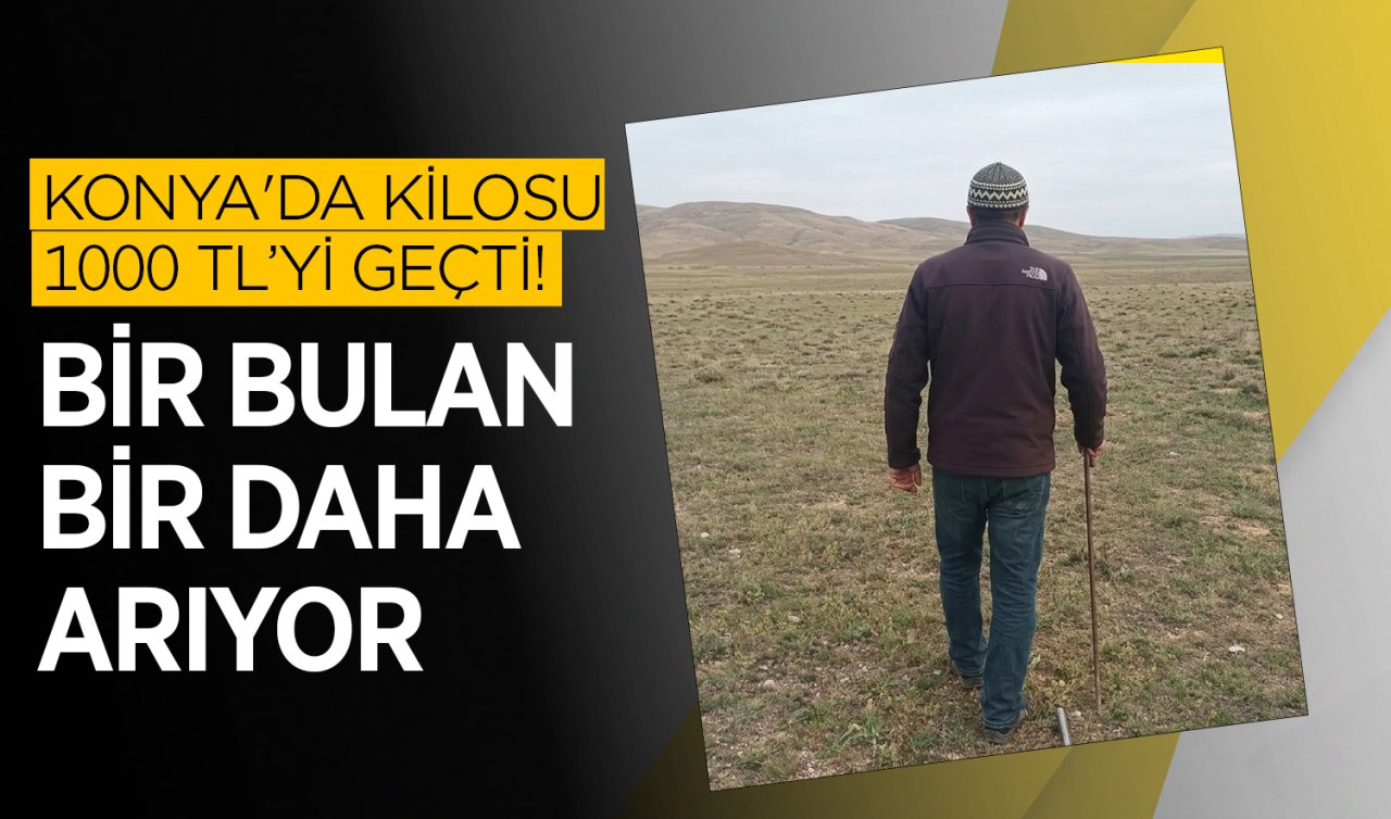 Konya’da kilosu 1000 TL’yi geçti! Bir bulan bir daha arıyor