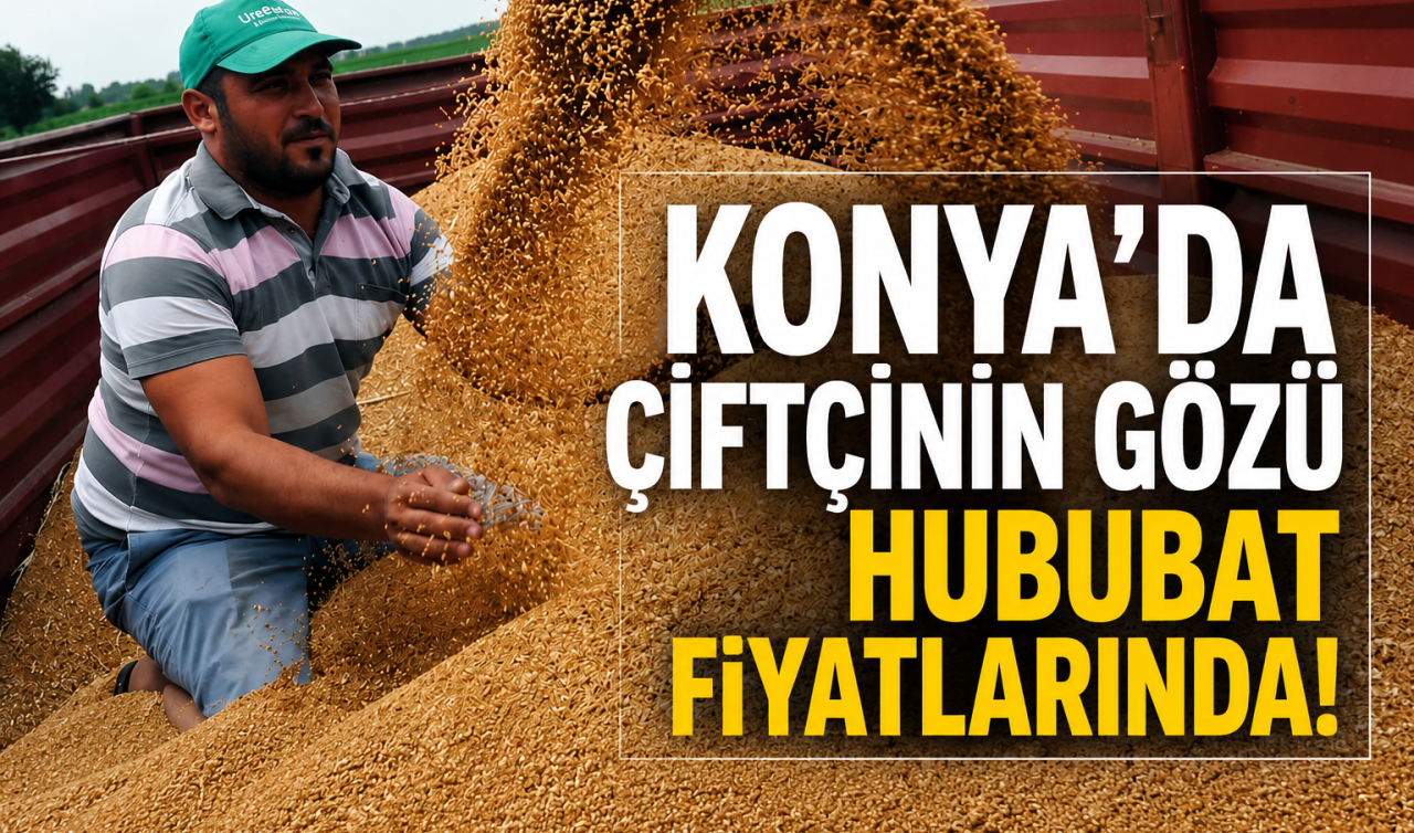 Konya’da çiftçinin gözü hububat fiyatlarında! 