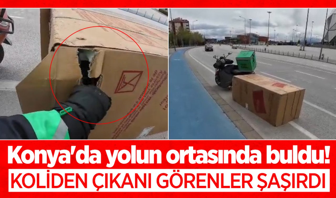 Konya’da yolun ortasında buldu! Koliden çıkanı görenler şaşırdı 