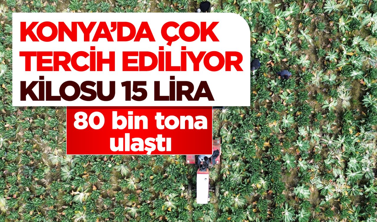 Konya’da çok tercih ediliyor! Tarlada kilosu 15 lira 