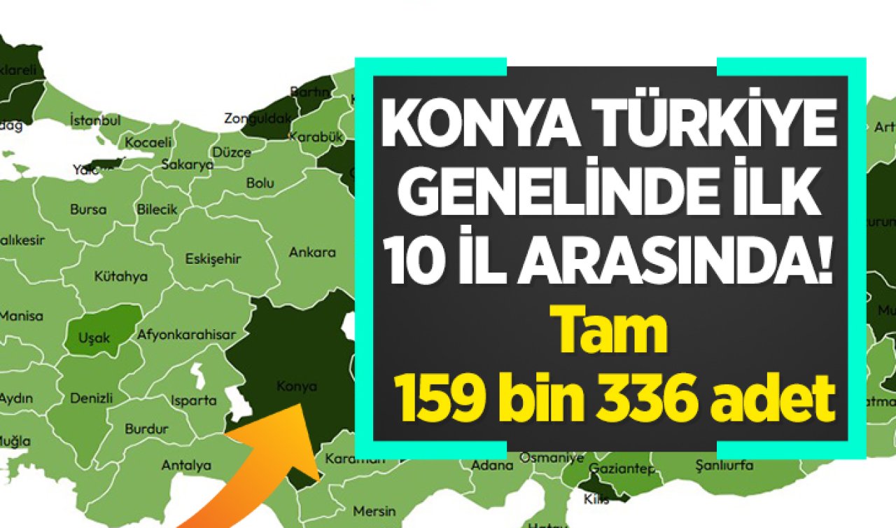 Konya Türkiye genelinde ilk 10 il arasında! Tam 159 bin 336 adet 
