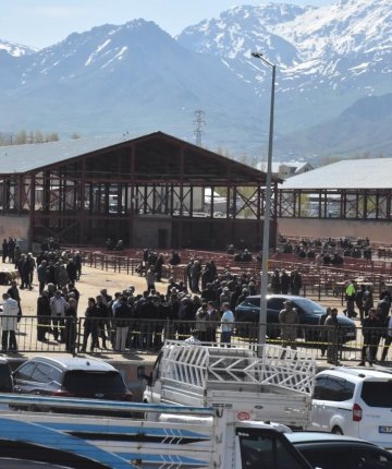 Hayvan pazarında kavga; 1 ölü 13 yaralı
