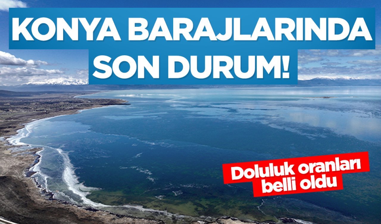 Konya barajlarında son durum! Doluluk oranları güncellendi