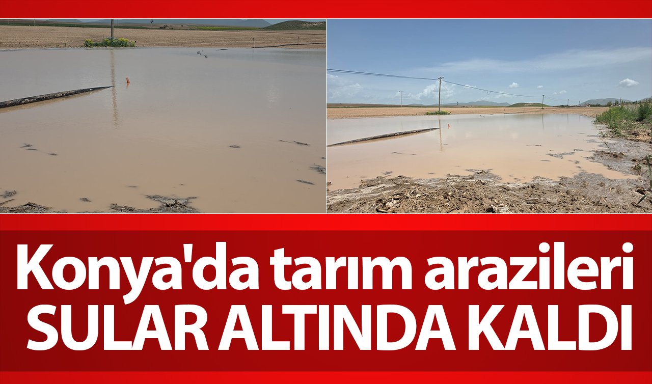 Konya’da tarım arazileri sular altında kaldı 