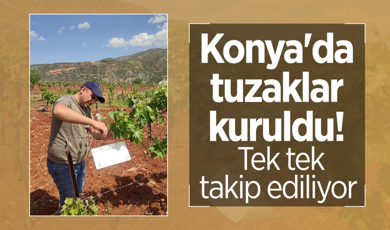 Konya’da tuzaklar kuruldu! Tek tek takip ediliyor 