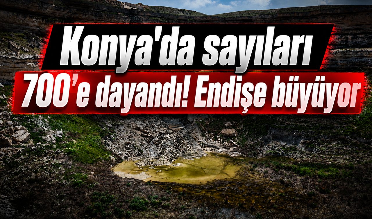 Konya’da sayıları 700’e dayandı! Endişe büyüyor